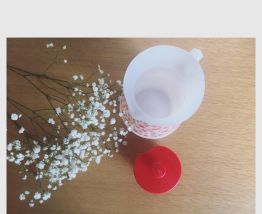 Pichet Scania Arcopal 