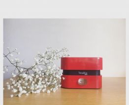 Balance Terraillon 4000