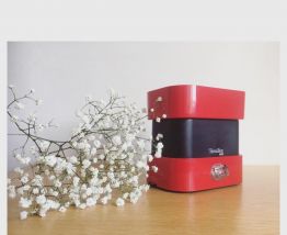 Balance Terraillon 4000