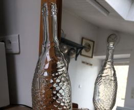 Bouteille poisson 