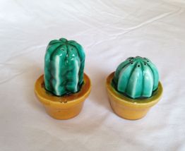 Paire salière-poivrière "cactus" barbotine