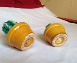 Paire salière-poivrière "cactus" barbotine