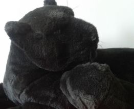 Peluche: la panthère noire et son petit