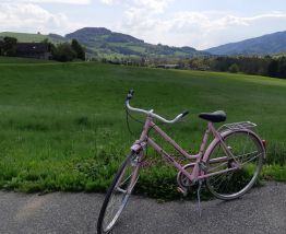 Velo vintage ALLEGRO