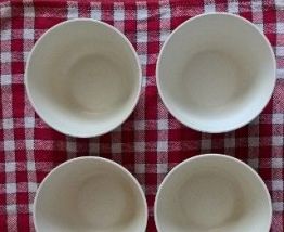 4 BOLS DE PIQUE NIQUE MELAMINE BLEU/VERT