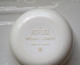 4 BOLS DE PIQUE NIQUE MELAMINE BLEU/VERT