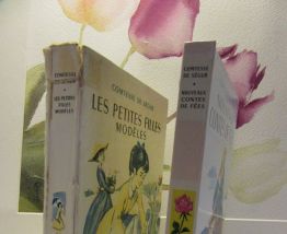 lot 2 bibliothèque rose Comtesse de Ségur 