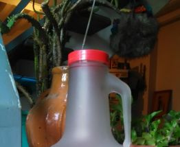 Pichet publicitaire (choc'menthe et Rio)