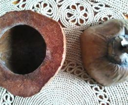 Bac à glaçons en noix de coco véritable-Artisanat 