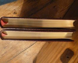 Londres (en 2 volumes) Louis Enault, illustré Gustave Doré