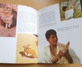 SLIMANE ET LES ANIMAUX DU DESERT - - 1973