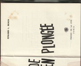 LE TOUR DU MONDE EN PLONGEE