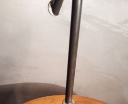 grande  lampe 1900  a tulipe  art nouveau  