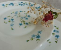 Assiette dessert Arcopal Myosotis 4 