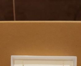 Pendentif perle de culture, chaine en argent