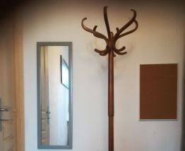 Porte manteau perroquet Baumann