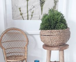 Lot d'apothicaire bleu 