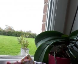 Lot de 6 lingettes lavables écologiques