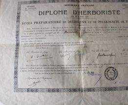 Diplôme herboriste année 1931
