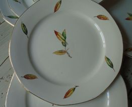 6 assiettes Digoin Sarguemine Nemours