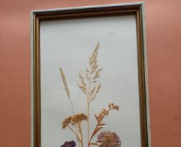 Cadres fleurs séchées 