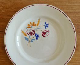 Lot 6 assiettes anciennes Salins France