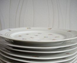 lot de 12 assiettes porcelaine de Limoges
