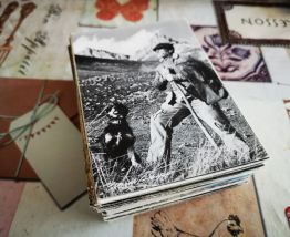 lot de 170 cpsm cpm bergers &amp; chevres