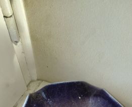 Coupelle verrerie de Biot