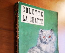 LIVRE  - Colette - La Chatte