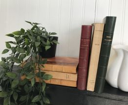 Ensemble de 6 livres anciens pour déco