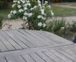 5 tasses café en verre ambré duralex, France