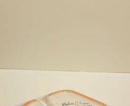 plat 2 compartiments en faïence de Moustier décor Paon