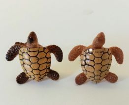 Boutons de manchette tortue tropicale, aquatique