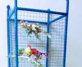 Lampe volière bleue, cage oiseaux, étagères métal