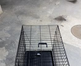 Cage chien 