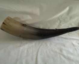 grand corne de berger de montagne 