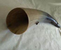 grand corne de berger de montagne 