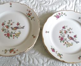 lot 12 assiettes plates digoin