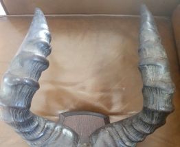 Trophée de massacre d'antilope africaine