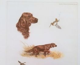 Lot de 3 gravures de Boris Riab