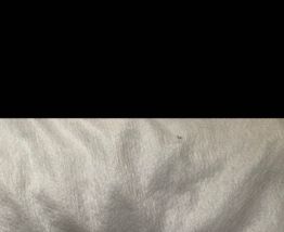 Collier graine de café acier inoxydable