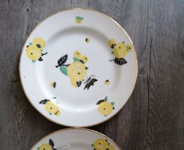 Assiettes porcelaine