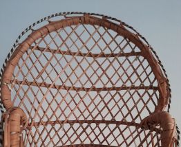 Fauteuil porté plantes