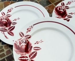 ????Assiettes plates anciennes Moulin des Loups Orchies???? 