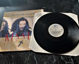 Disque vinyle maxi single Dead or alive "I'll save you all m