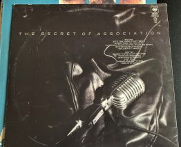 Disque vinyle 33 tours Paul Young "The secret association"