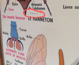 Affiche scolaire vintage MDI