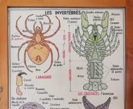 Affiche scolaire vintage MDI