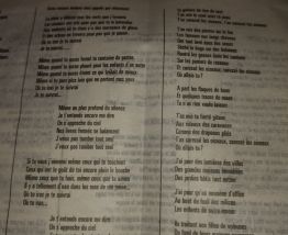 Cabrel photos de voyage 